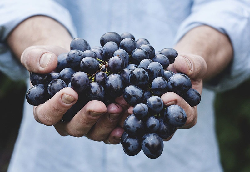 Holding Grapes