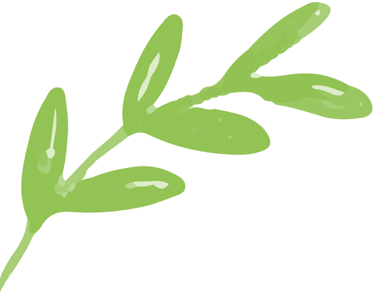 Background Leaf