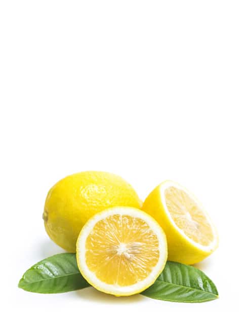 Farm Fresh Fruits