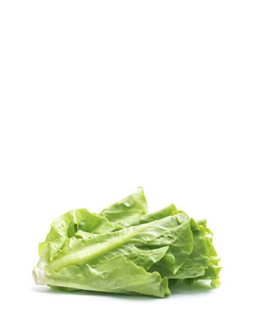Fresh Vegetables