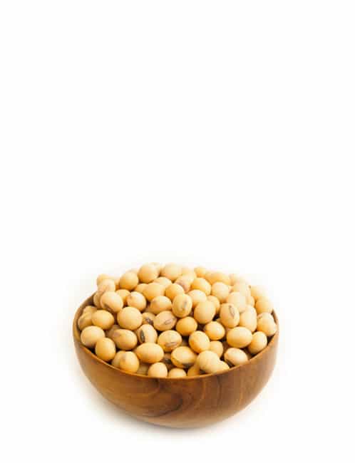 Organic Legume